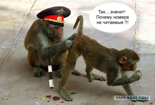 Юмор не для всех