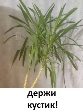 Схрон (1-18 части) 18+