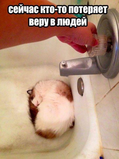 Подборка интересных и веселых картинок