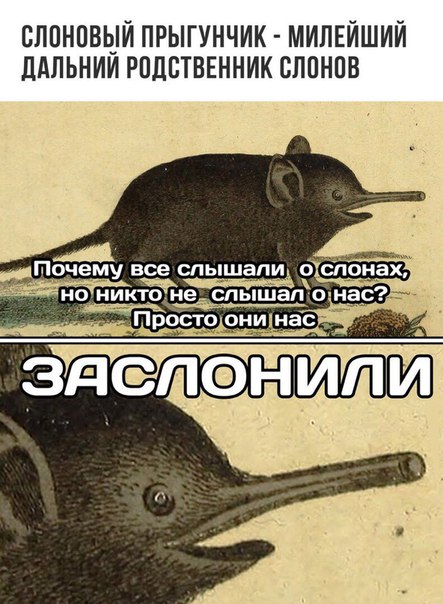 Картинок разных пост