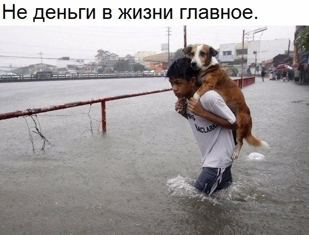Набористый набор картинок