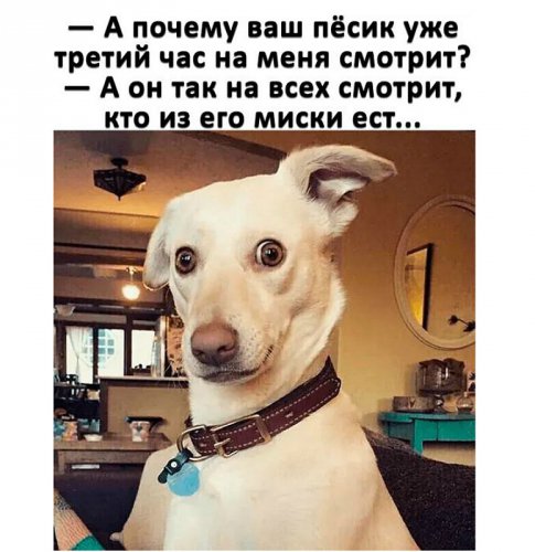Немного странного юмора на вечер
