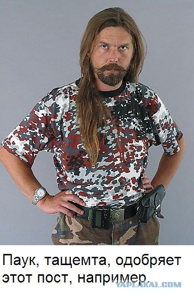 Сосед на лето.