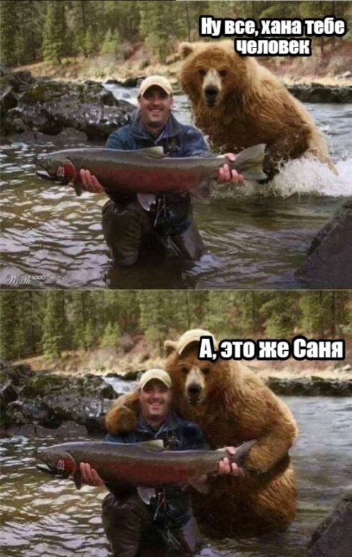 Немного картинок на вечер