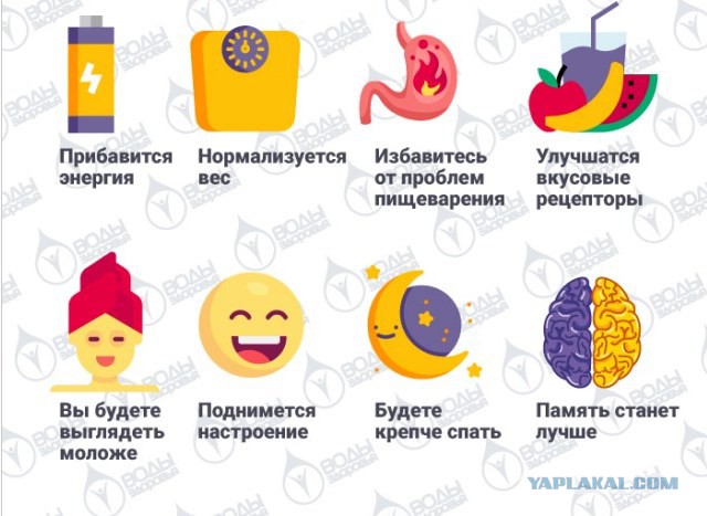 Повышение иммунитета