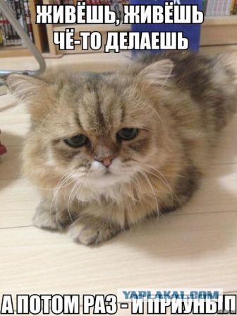 Норм выгляжу? Или не айс