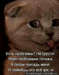 Котофотки с описанием