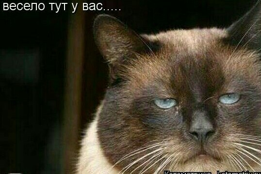 Чёрные пантеры объявили расовую войну