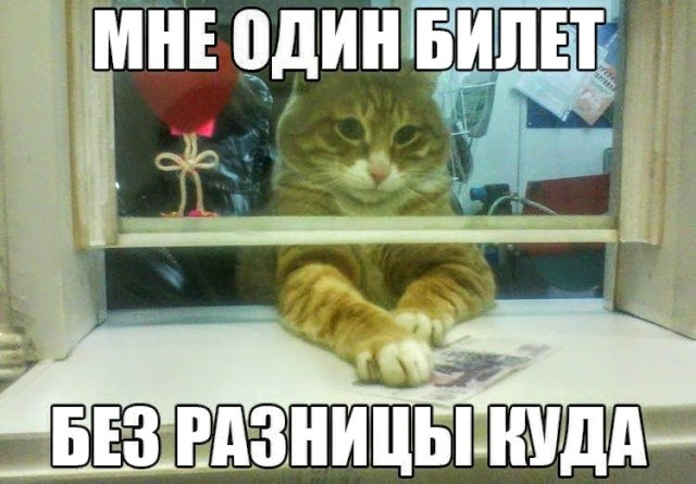 Немного картинок для настроения 08.08.20