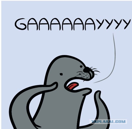 Пацан кривляет танцующих девушек