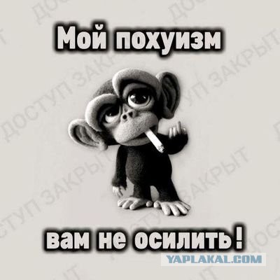 Новый уровень невозмутимости — таксист