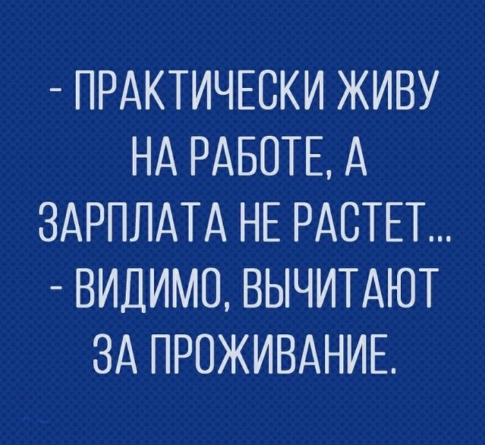 15740353.jpg