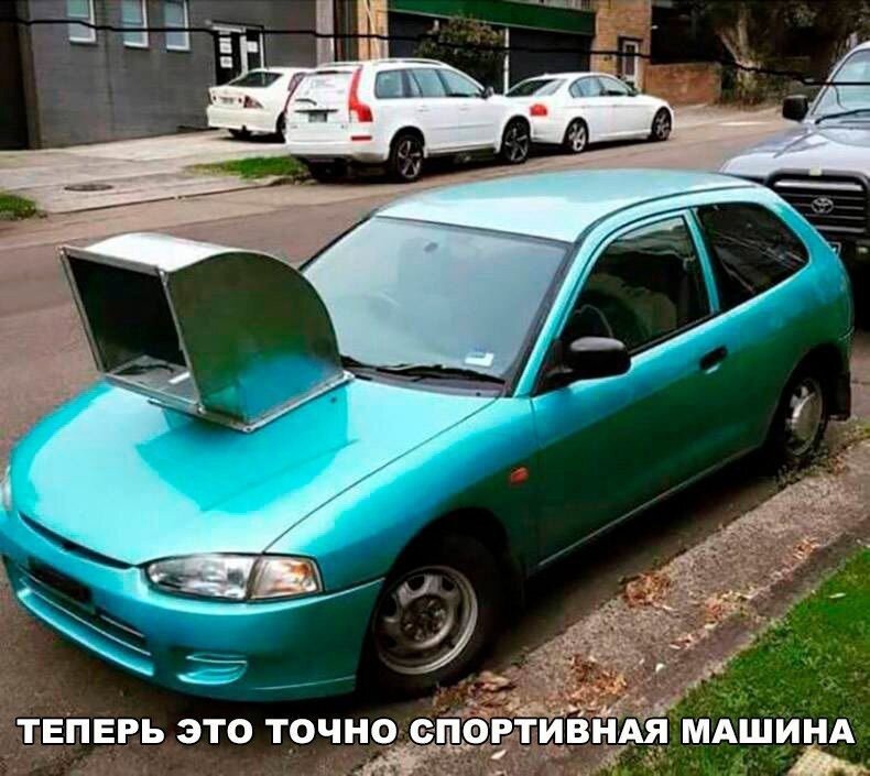 15896353.jpg