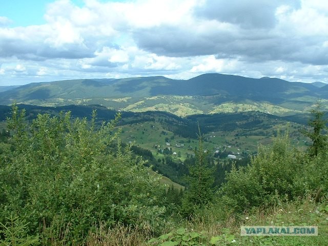 Карпаты, Закарпатье.