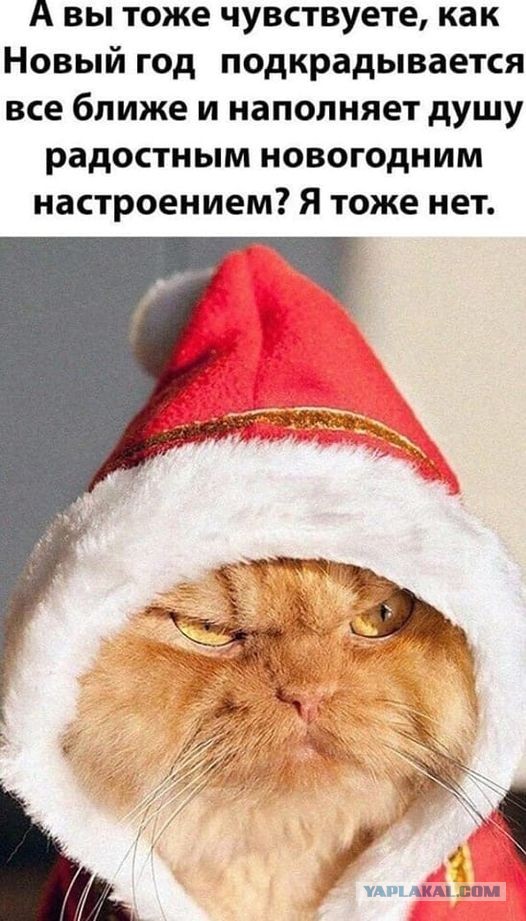 "Пьятничные" картинки