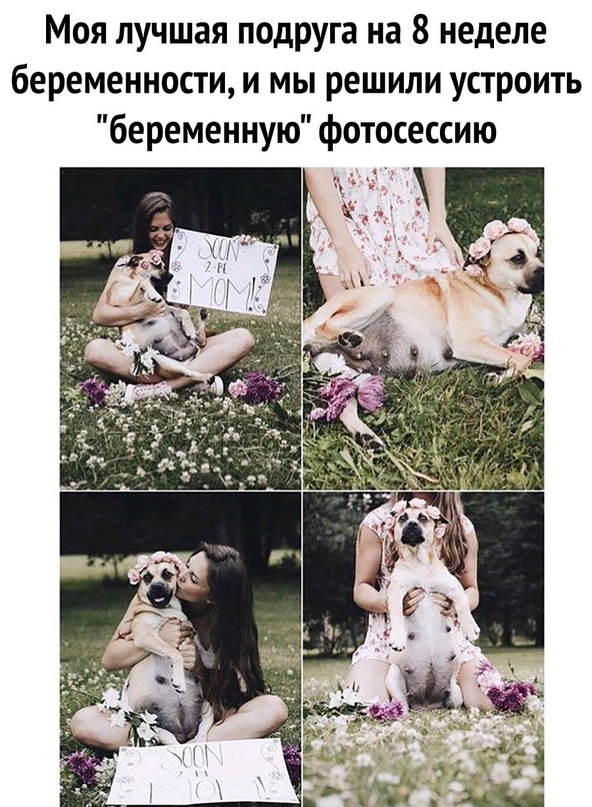 Картинки и мемы для настроения - 27