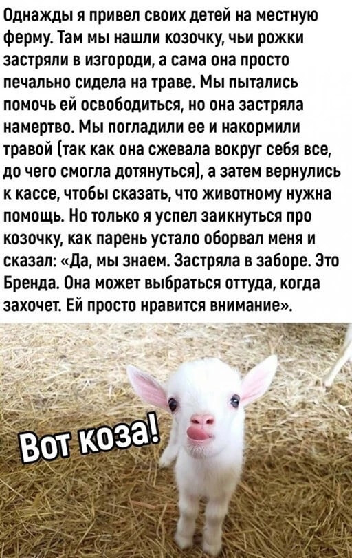 Картинки и мемы для настроения - 111