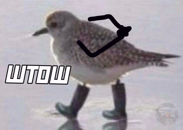 Дом для весенних друзей