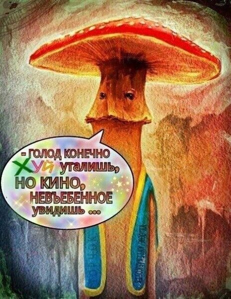 Прикольные и просто красивые картинки 12.01.2024