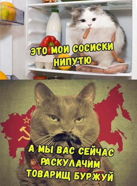 Всего понемногу. От 17.04.24.