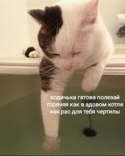 Картиночки, LOL