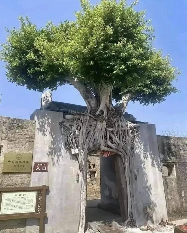 ФотоВинегрет