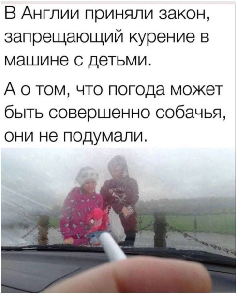 Вторник. Немного картинок