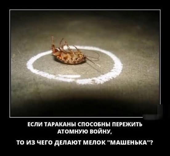 Картинки для деградации постновогодние (как салаты - разной степени свежести)