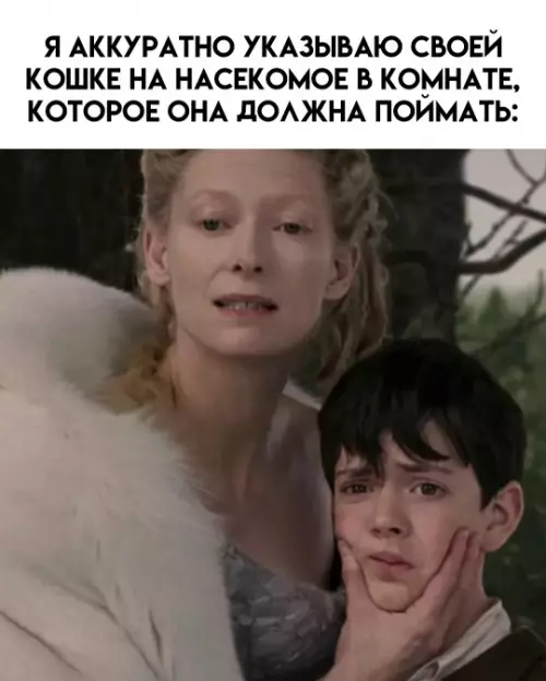 Так себе картинки 22.02.26