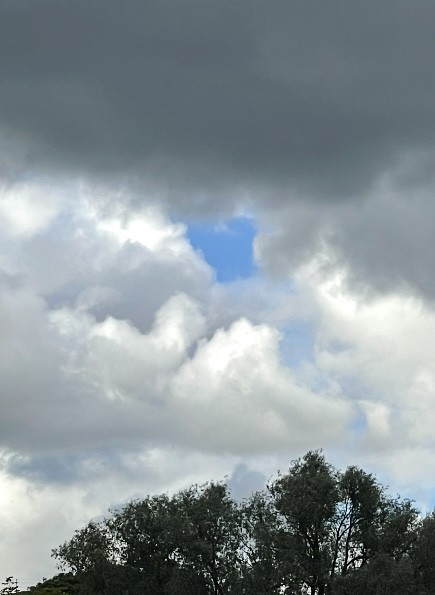 Клуп калхозных пейсателей. Палата №3