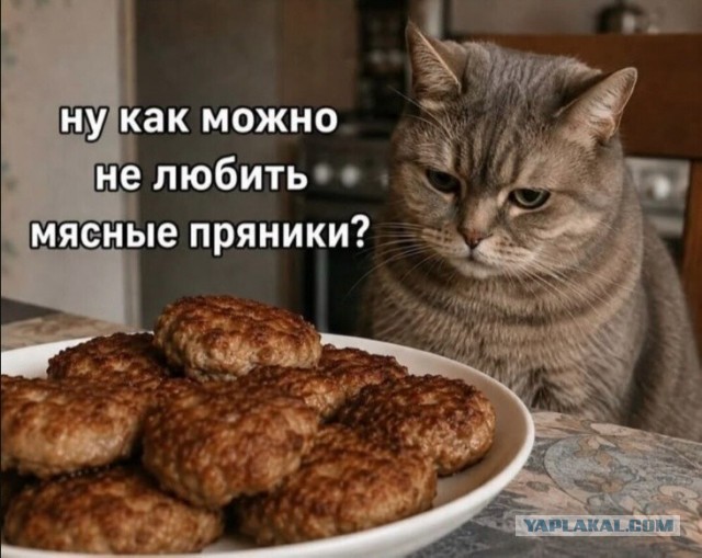 К котовторнику: подборка картинок-баянов с котиками и про котиков. Выпуск 46.