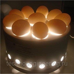 Светильник из яйца