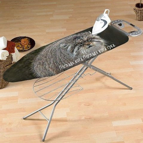 Гладь котика... постоянно!