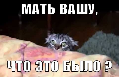 Недопохудела к весне