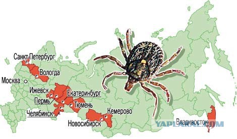 Самые страшные обитатели российских водоемов