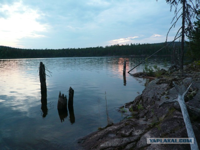 Две недели на Иовском водохранилище. Соколозеро.