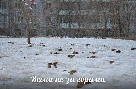 Скоро на наших улицах