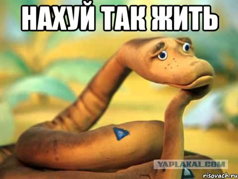 Прекрасные дамы , которые слегка перебрали