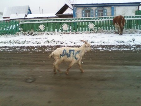 Приколы из сети на 18.05.2015