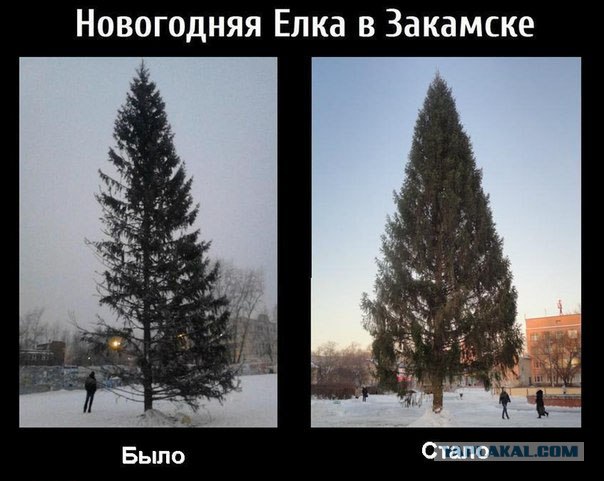 Во Владивостоке установили елку...