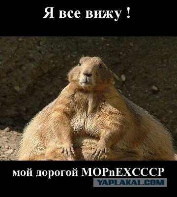 Вся правда об электронных сигаретах
