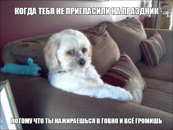 Подборка за неделю