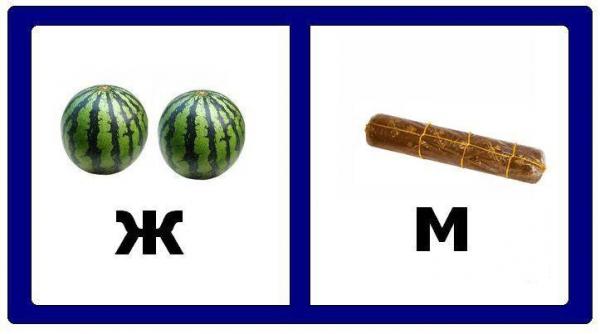 Как обозначают мужские и женские туалеты.