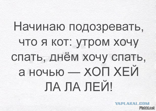 Картинки, интересные и веселые