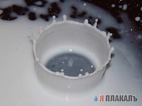 Красивые фотографии. Стоп-кадр