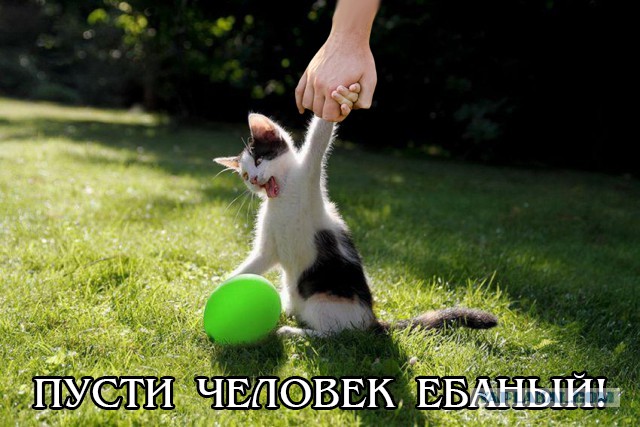 Всякое-разное из сети