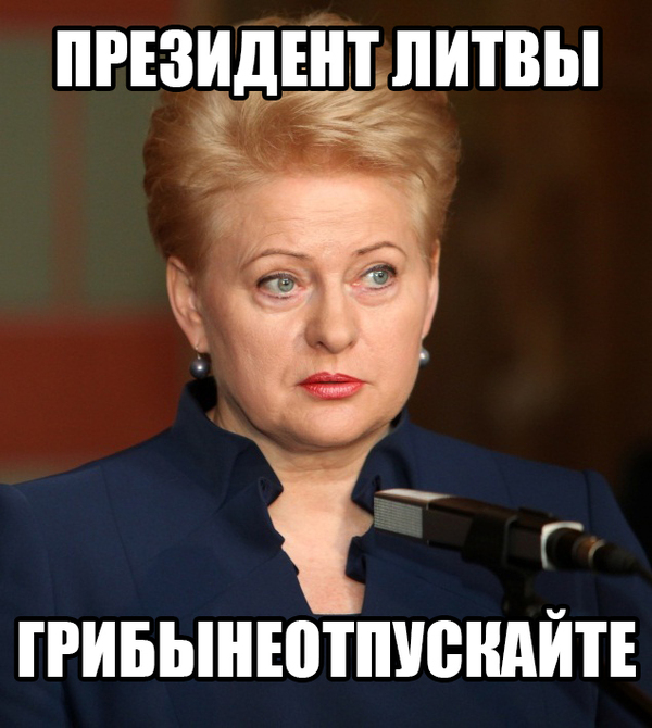 Грибаускайте: Россия может использовать строящуюся в Белоруссии АЭС как оружие против Литвы