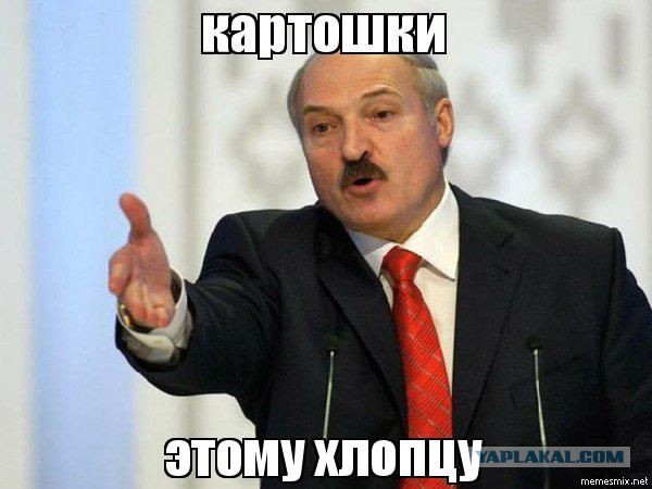 Отпуск в Республике Беларусь