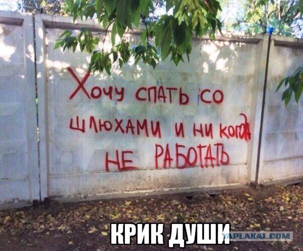 Забавные комментарии, шутки и фразы из этих ваших интернетов