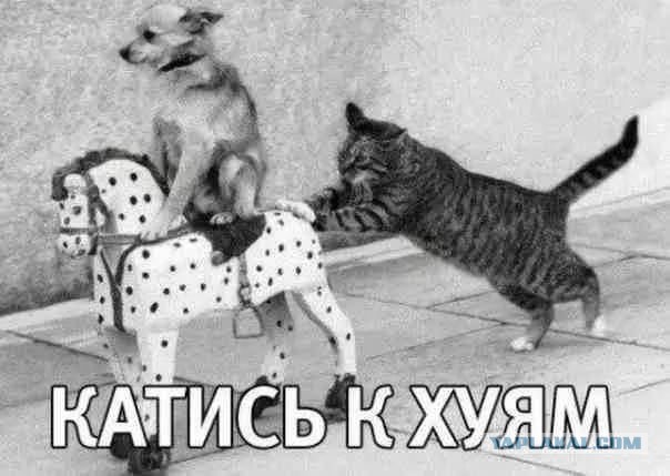 Губернатор Красноярского края Толоконский написал заявление об отставке
